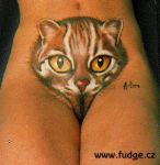 Název souboru=bodyart-kocicka.jpg
Velikost souboru=46KB
Rozměry=342x350
Datum přidání=09. Prosinec 2007 bodyart-kocicka.jpg